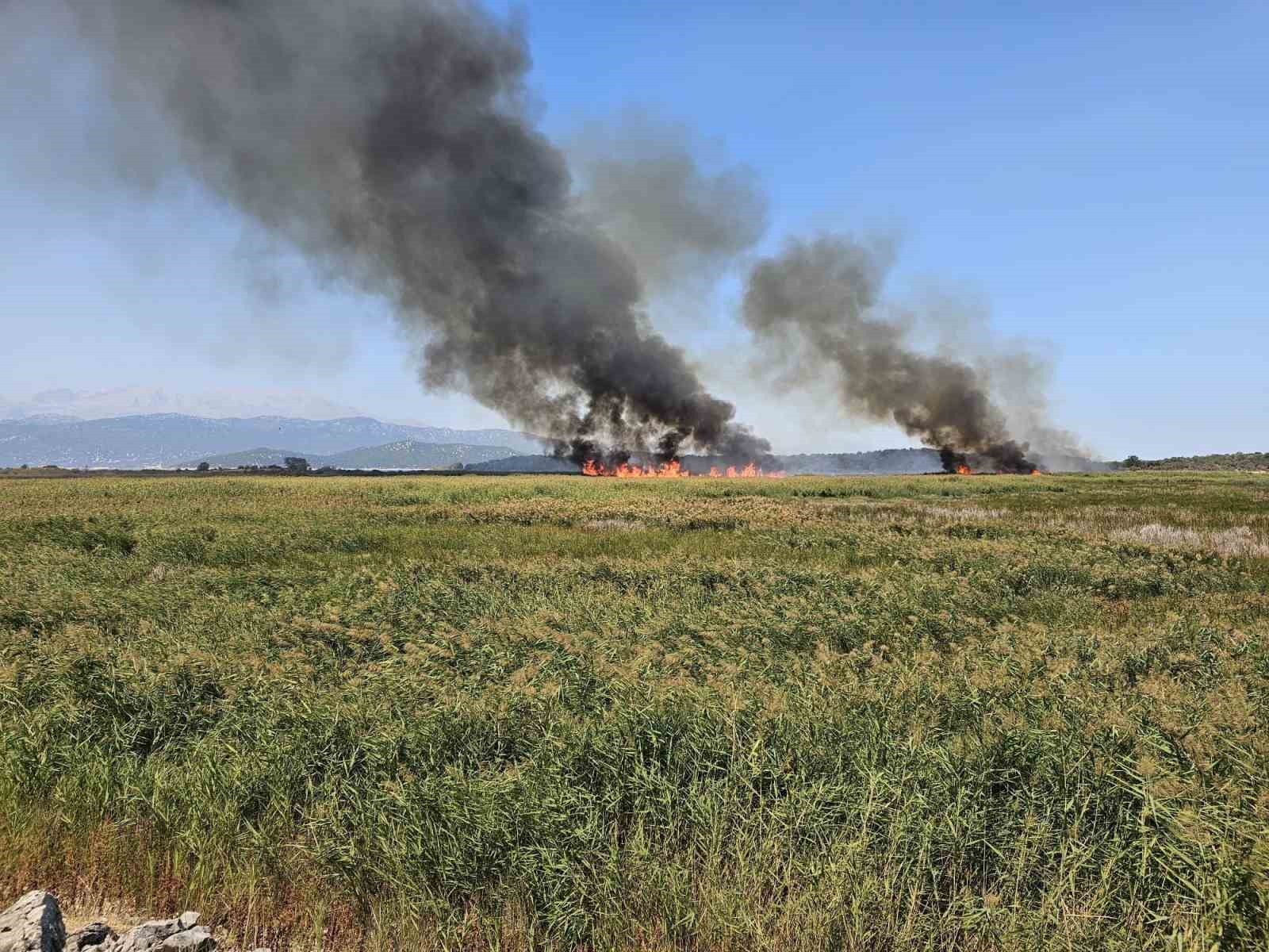 Beyşehir’de sazlık alanda çıkan yangın havadan müdahale ile söndürüldü