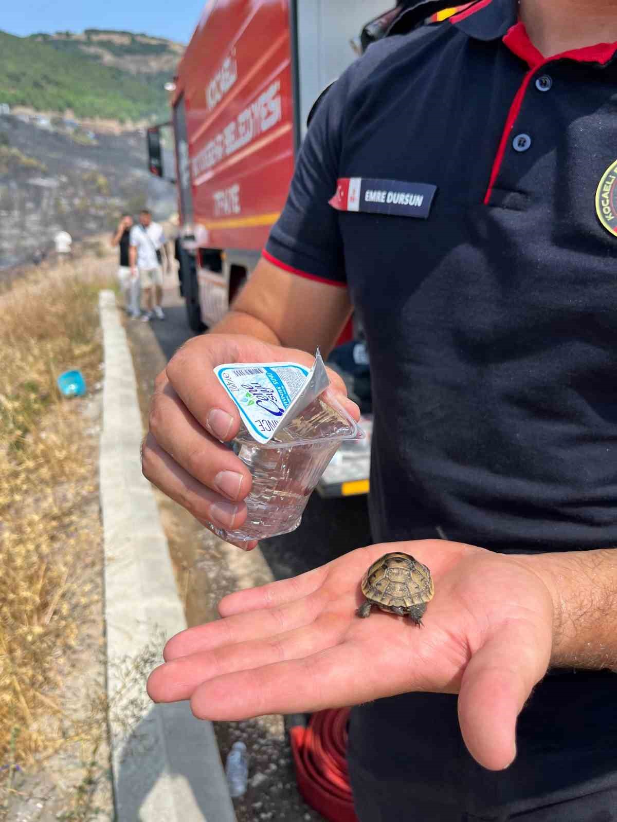 Alevlerin ortasında bir damla hayat
