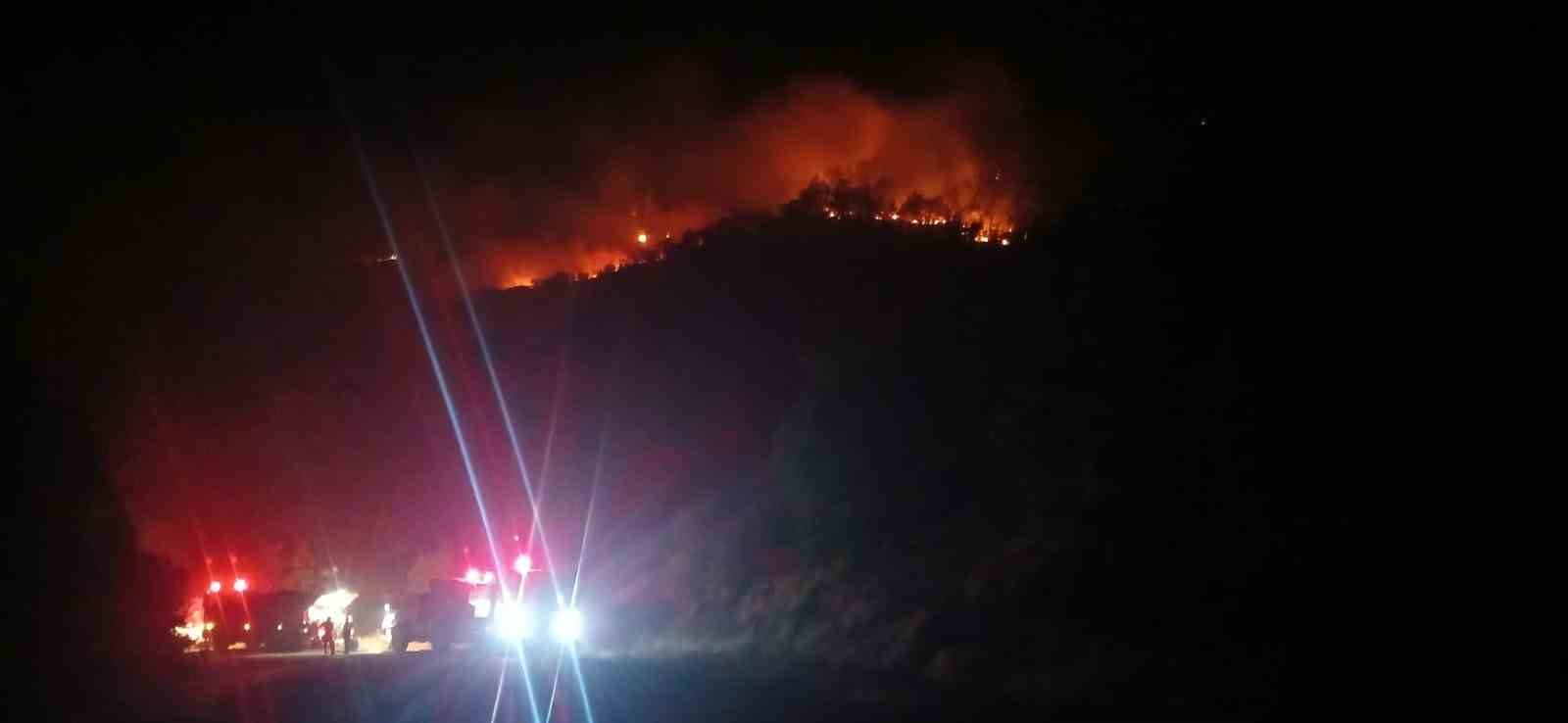 Malatya’daki orman yangını sürüyor
