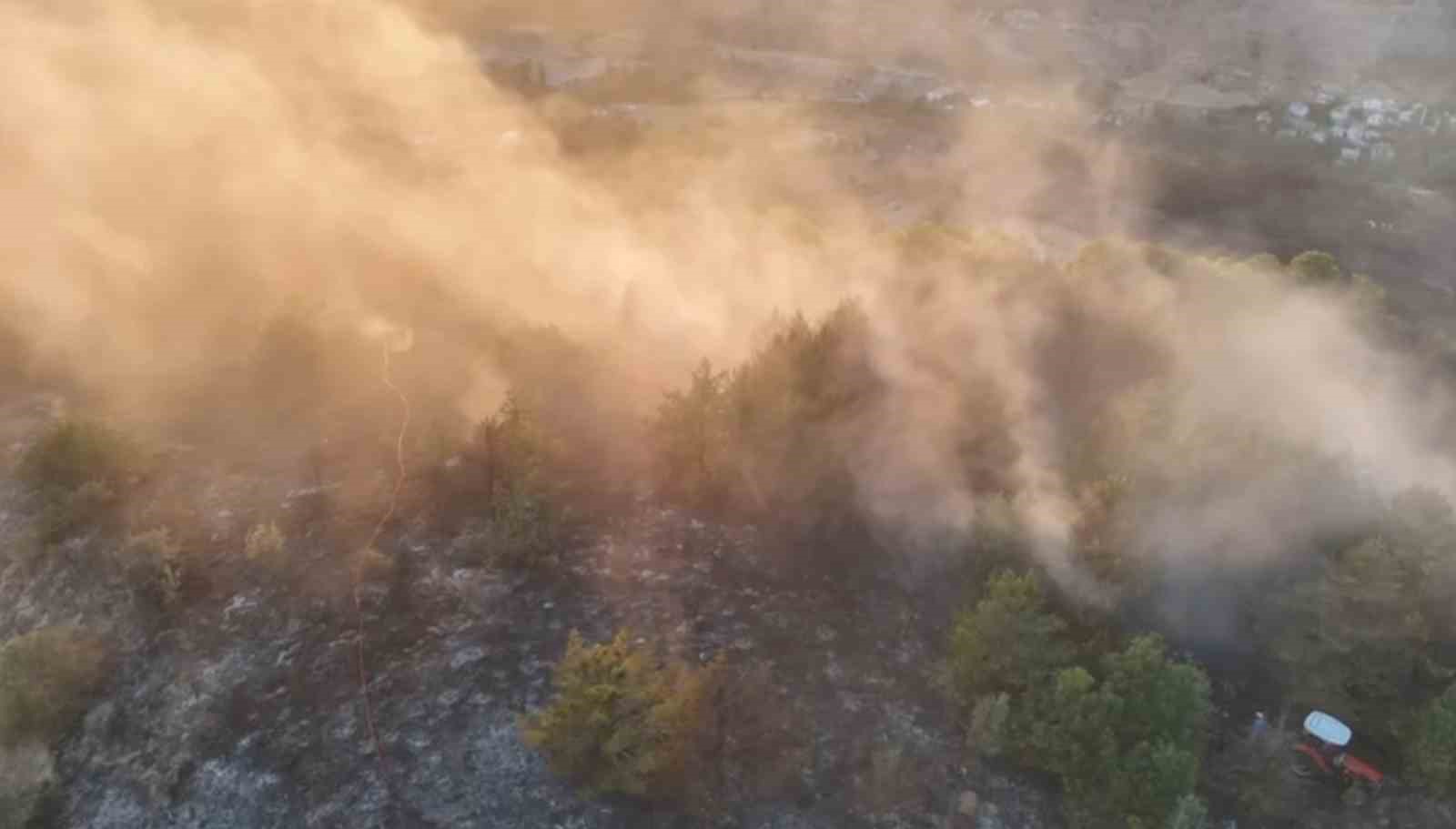 Ordu’da ormanlık alanda çıkan yangın söndürüldü