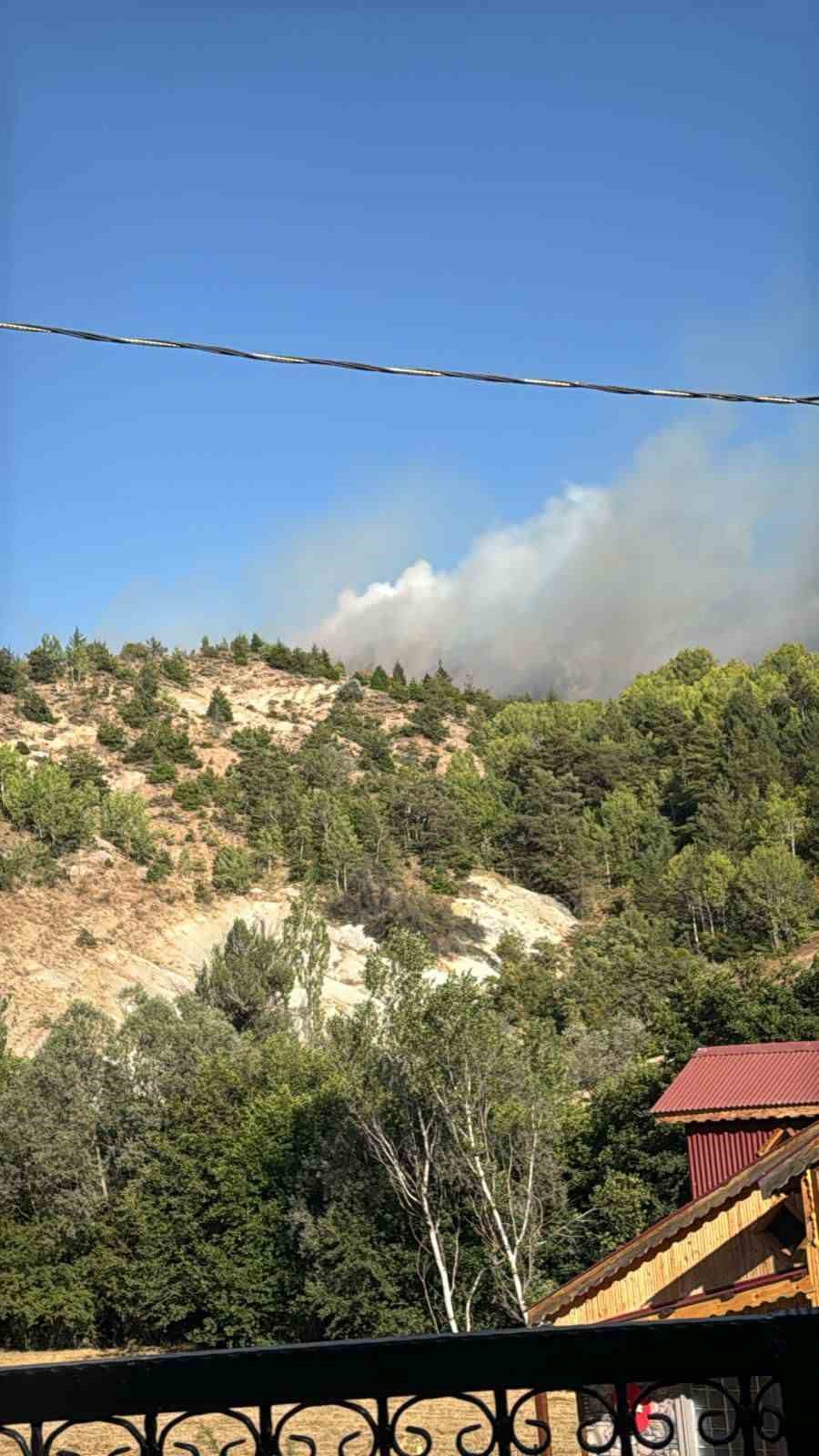 Ordu&rsquo;da ormanlık alanda &ccedil;ıkan yangın s&ouml;nd&uuml;r&uuml;ld&uuml;
