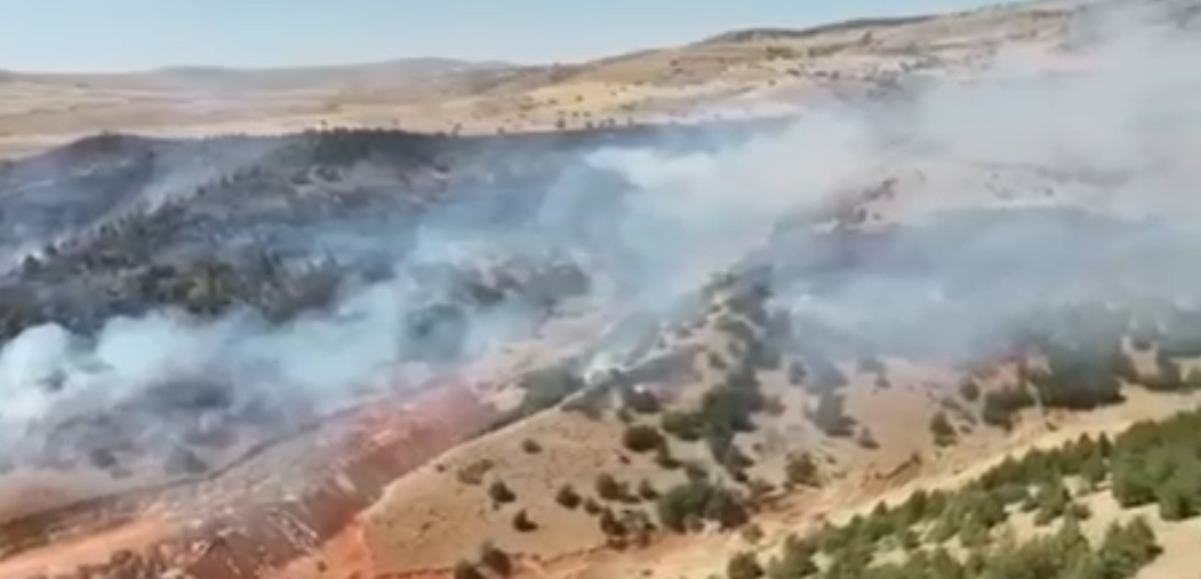 Yozgat’ta 70 dönüm arazi küle döndü
