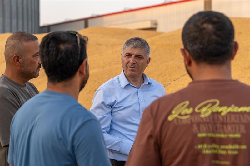 Adana’da mısırda 1 milyon 135 bin ton rekolte bekleniyor