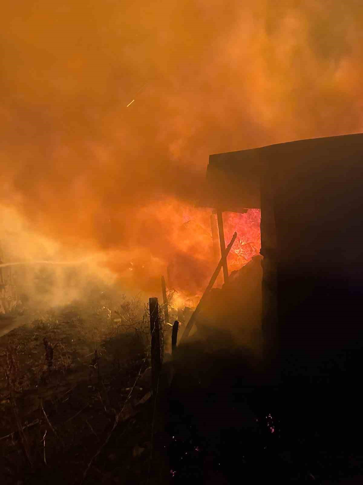 Tekman&rsquo;da korkutan yangın
