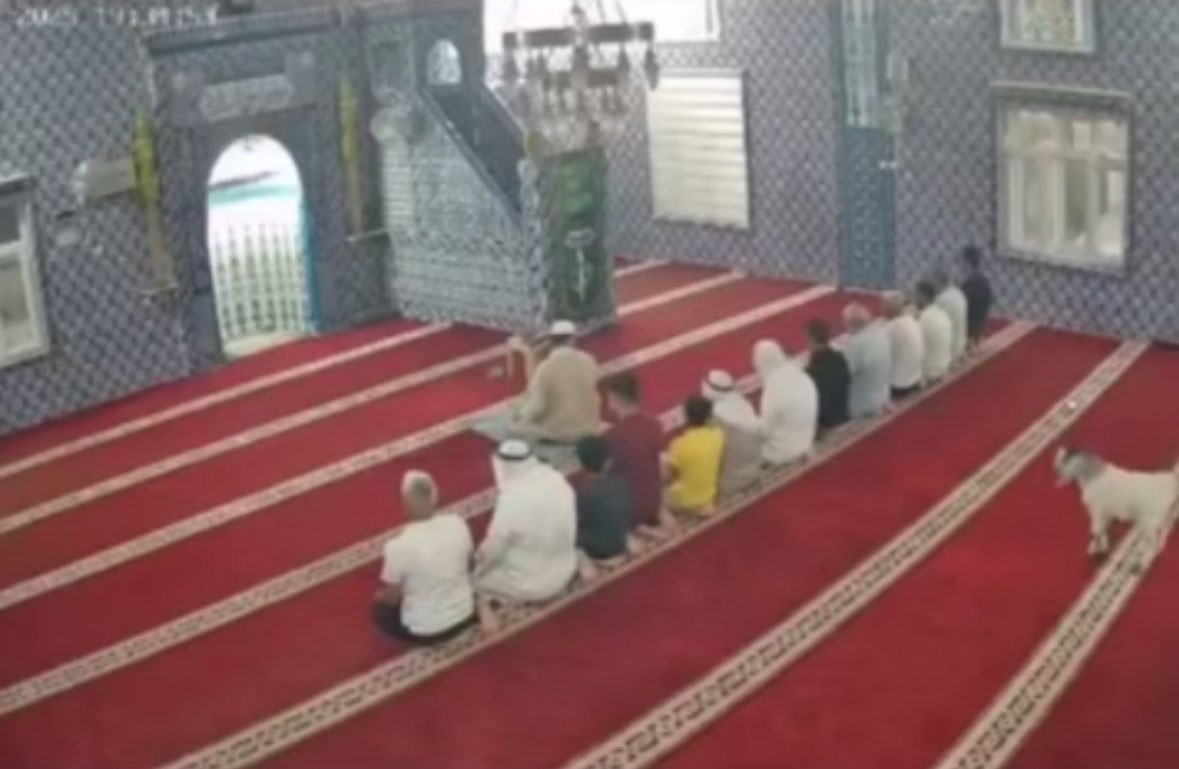 Mardin’de camiye giren oğlak güvenlik kamerasına yansıdı