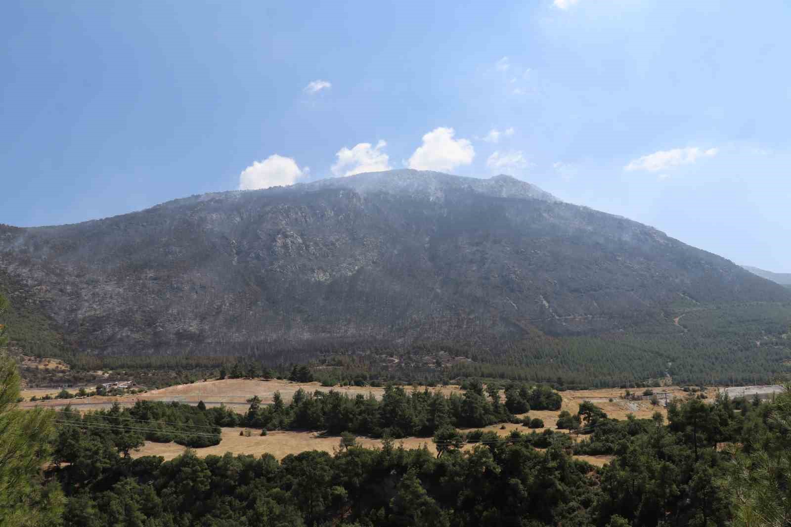 Denizli&rsquo;deki orman yangınında soğutma &ccedil;alışmaları devam ediyor
