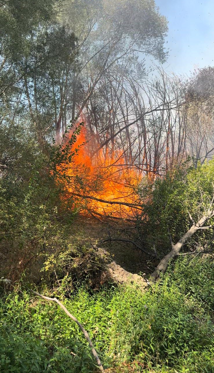 Elazığ’da otluk alanda yangın