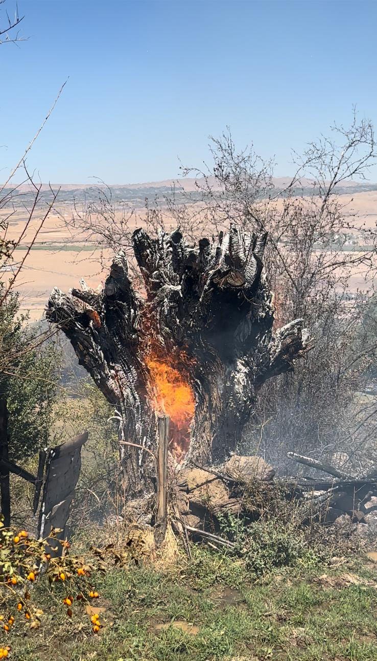 Elazığ&rsquo;da otluk alanda yangın
