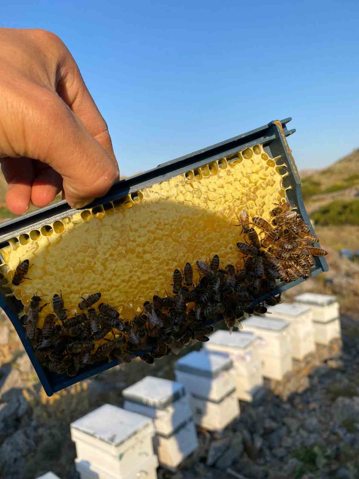Bozkır&rsquo;da bal hasadı tamamlandı
