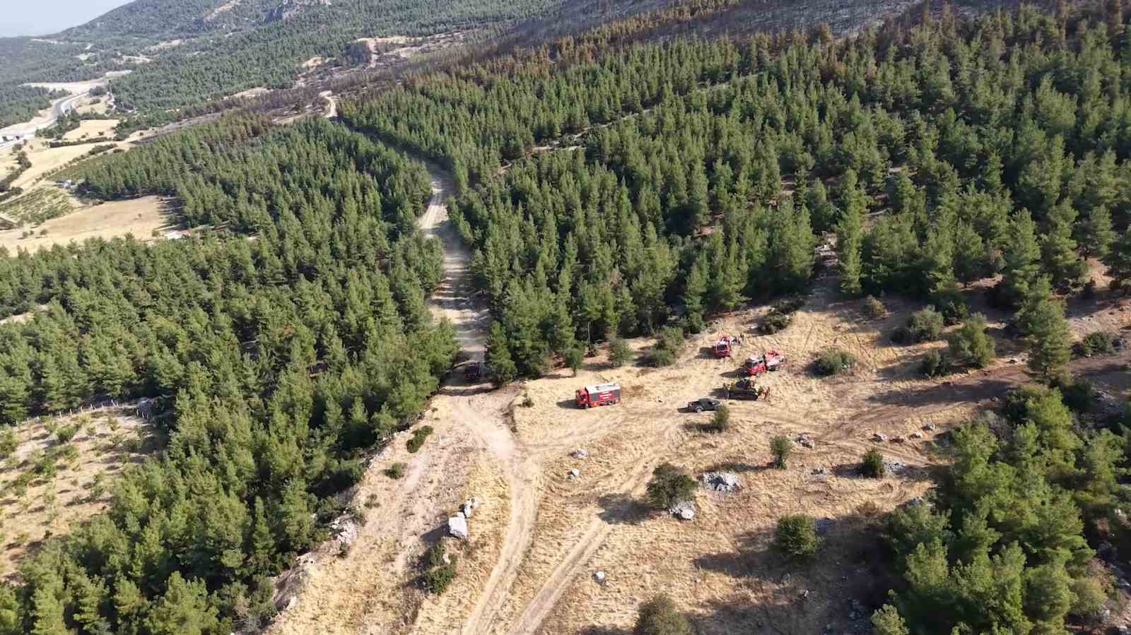 Denizli’de yanan orman sahası havadan görüntülendi