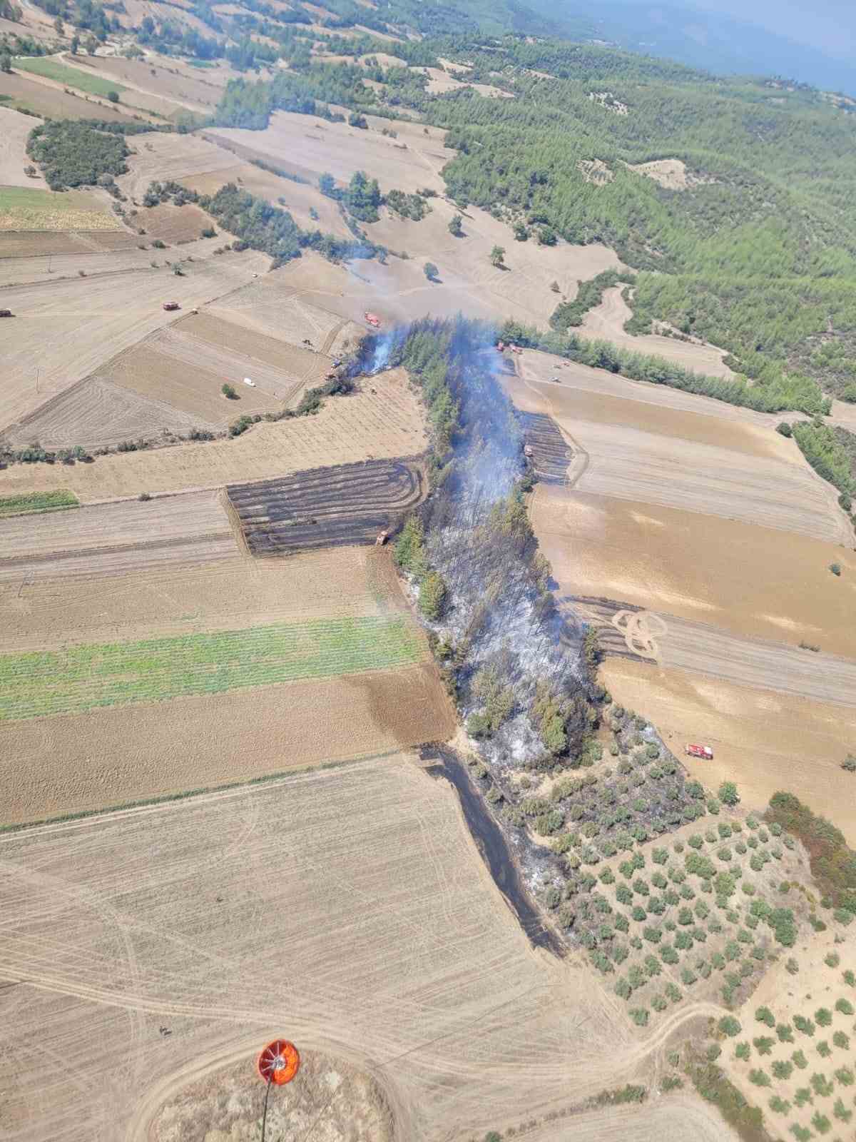 Adana&rsquo;da &ccedil;ıkan orman yangını kontrol altına alındı
