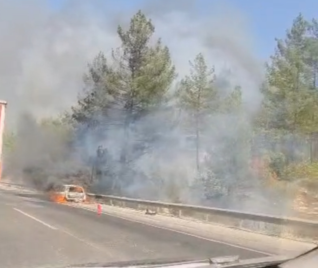 Otoyolda yanan ara&ccedil; orman yangını &ccedil;ıkardı
