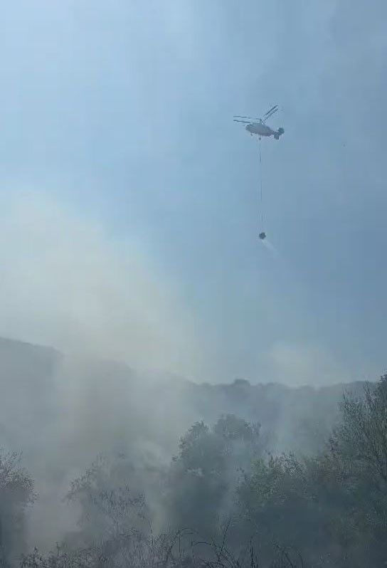 Sarıyer&rsquo;de ormanlık alanda &ccedil;ıkan yangın kontrol altına alındı
