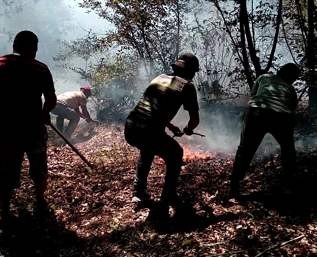 Ordu’nun iki ilçesinde çıkan yangın ekipler tarafından söndürüldü