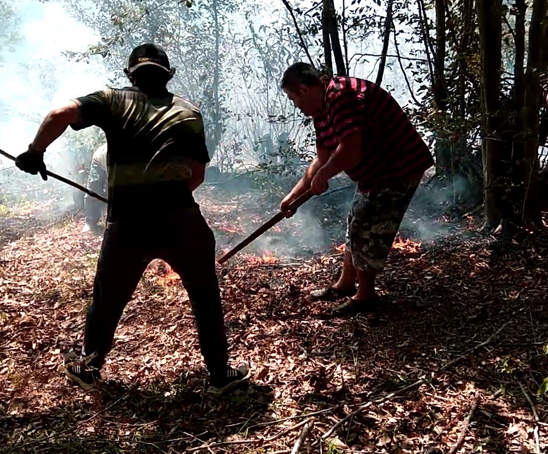 Ordu&rsquo;nun iki il&ccedil;esinde &ccedil;ıkan yangın ekipler tarafından s&ouml;nd&uuml;r&uuml;ld&uuml;
