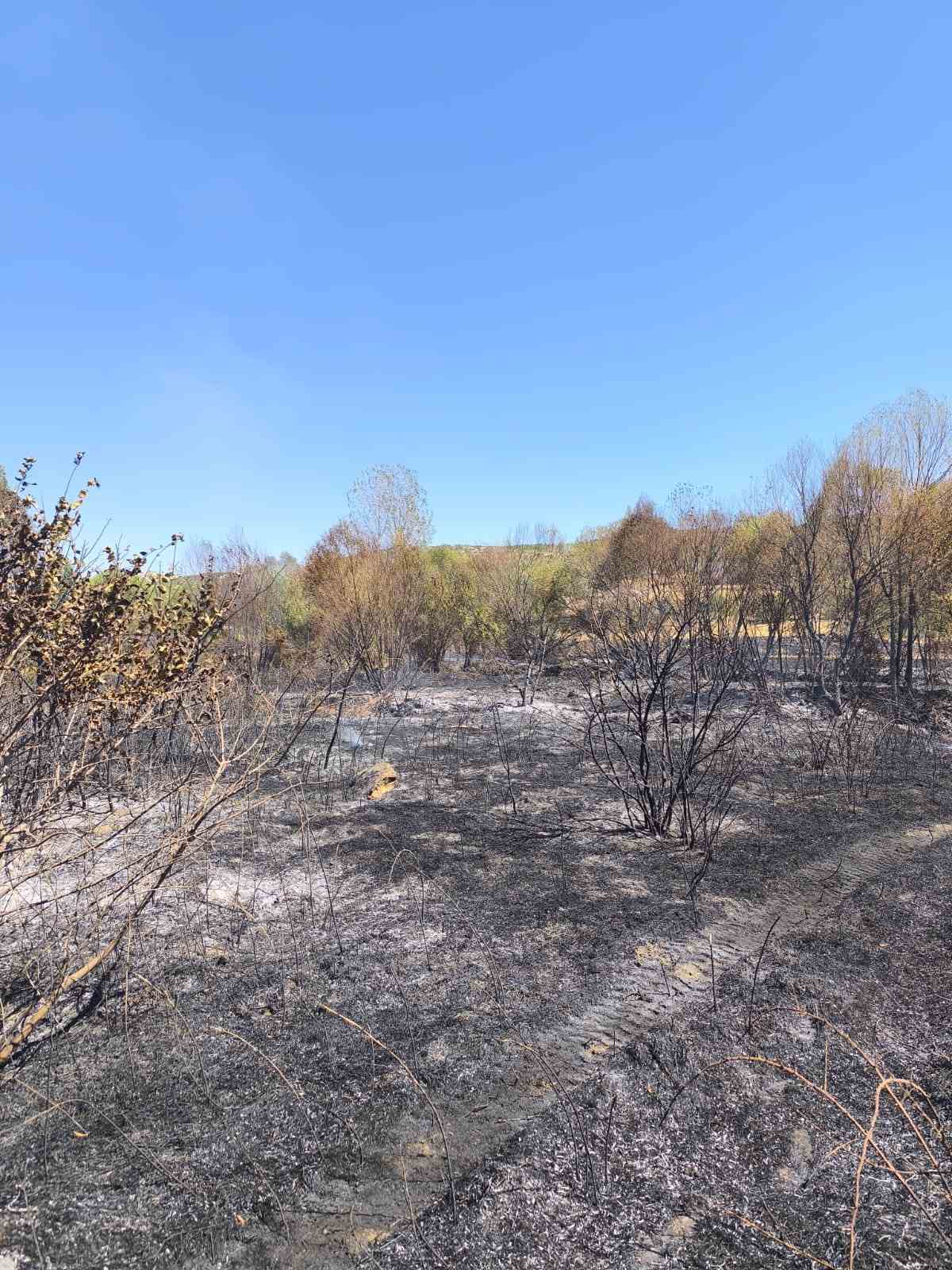 Diyarbakır&rsquo;da &uuml;&ccedil; farklı noktada &ccedil;ıkan yangınlar kontrol altına alındı
