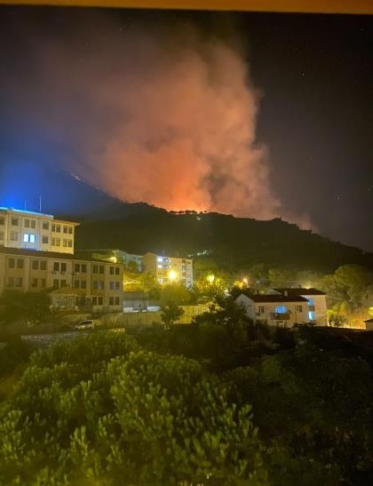 Marmara Adası’nda arazi yangını başladı