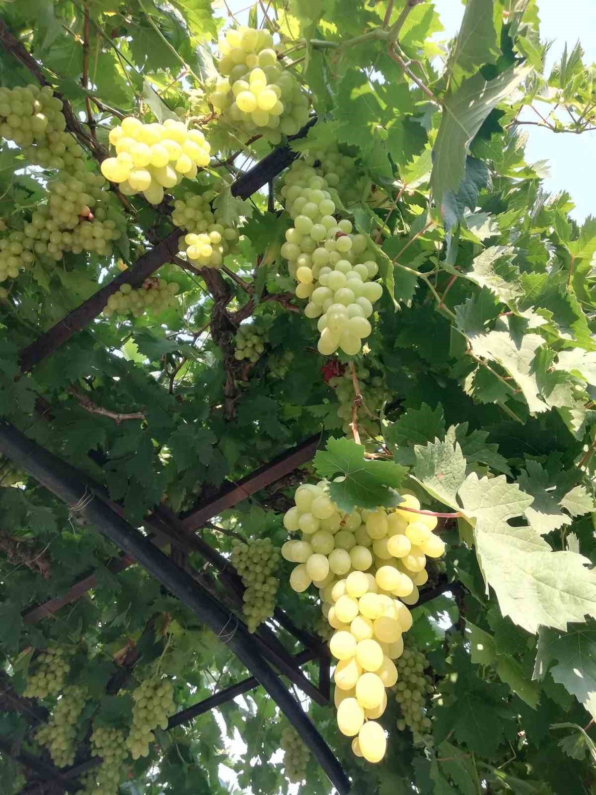 K&uuml;lle kaynayan lezzet, imece usul&uuml;yle sofralara taşınıyor
