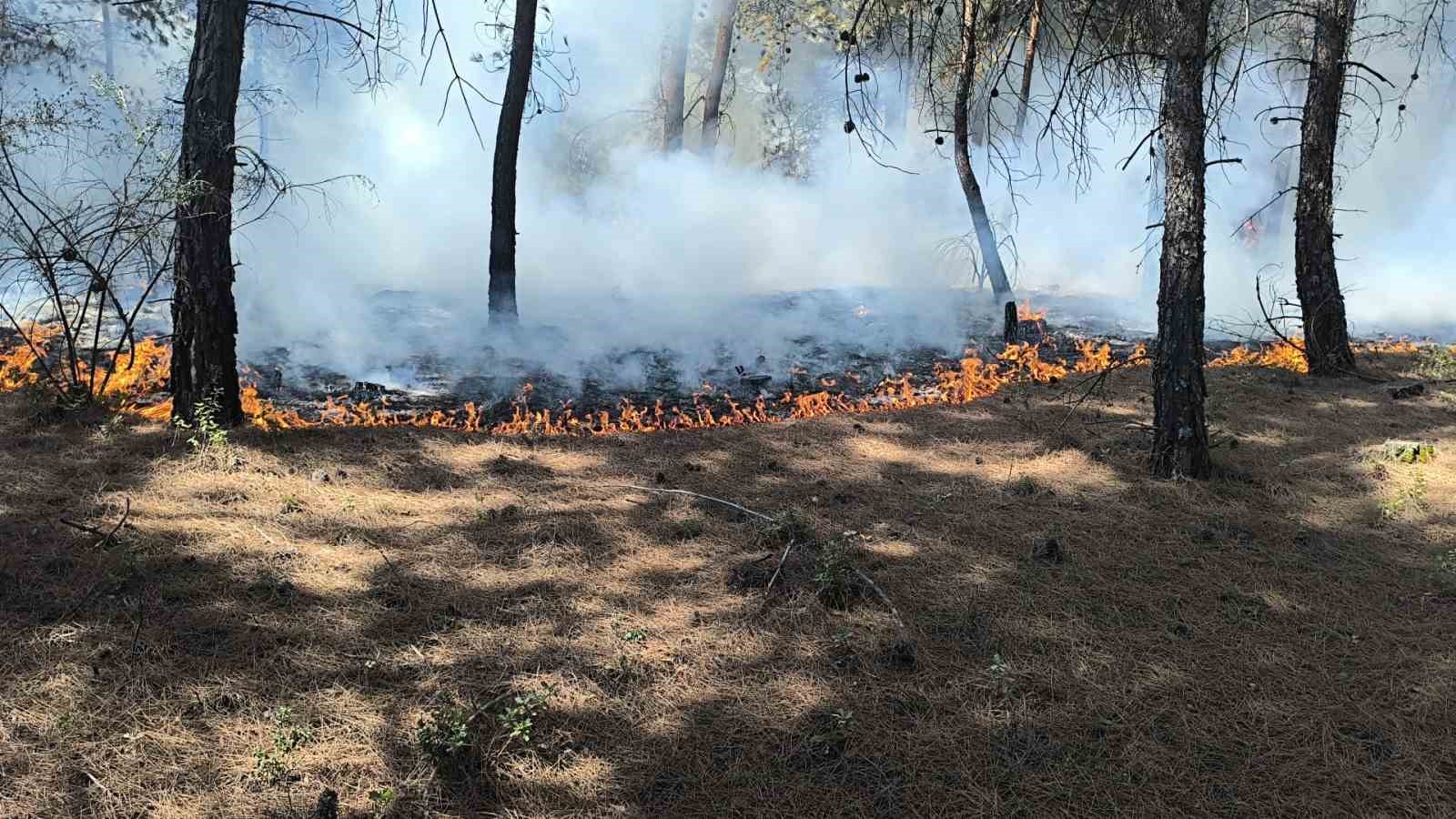 Buldan’da çıkan orman yangını kısa sürede kontrol altına alındı