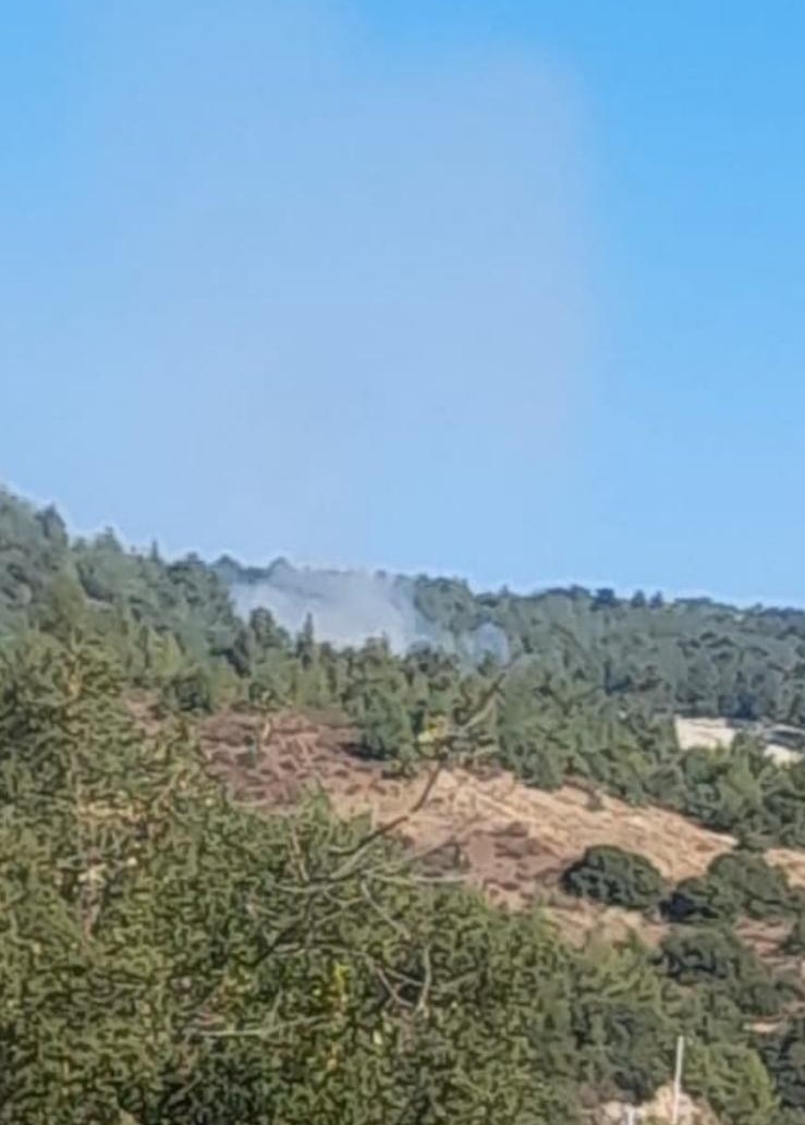 Buldan&rsquo;da &ccedil;ıkan orman yangını kısa s&uuml;rede kontrol altına alındı
