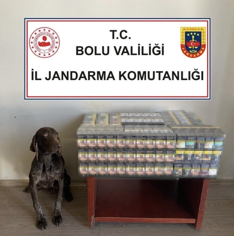 Bolu&rsquo;da ka&ccedil;ak sigara operasyonu: Binlerce ka&ccedil;ak &uuml;r&uuml;n ele ge&ccedil;irildi

