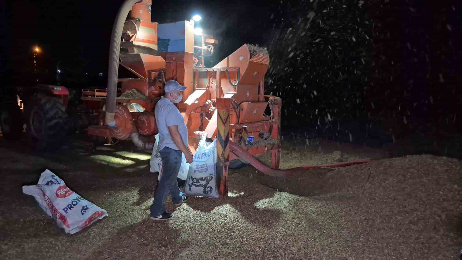 Tarlada fındık nöbeti