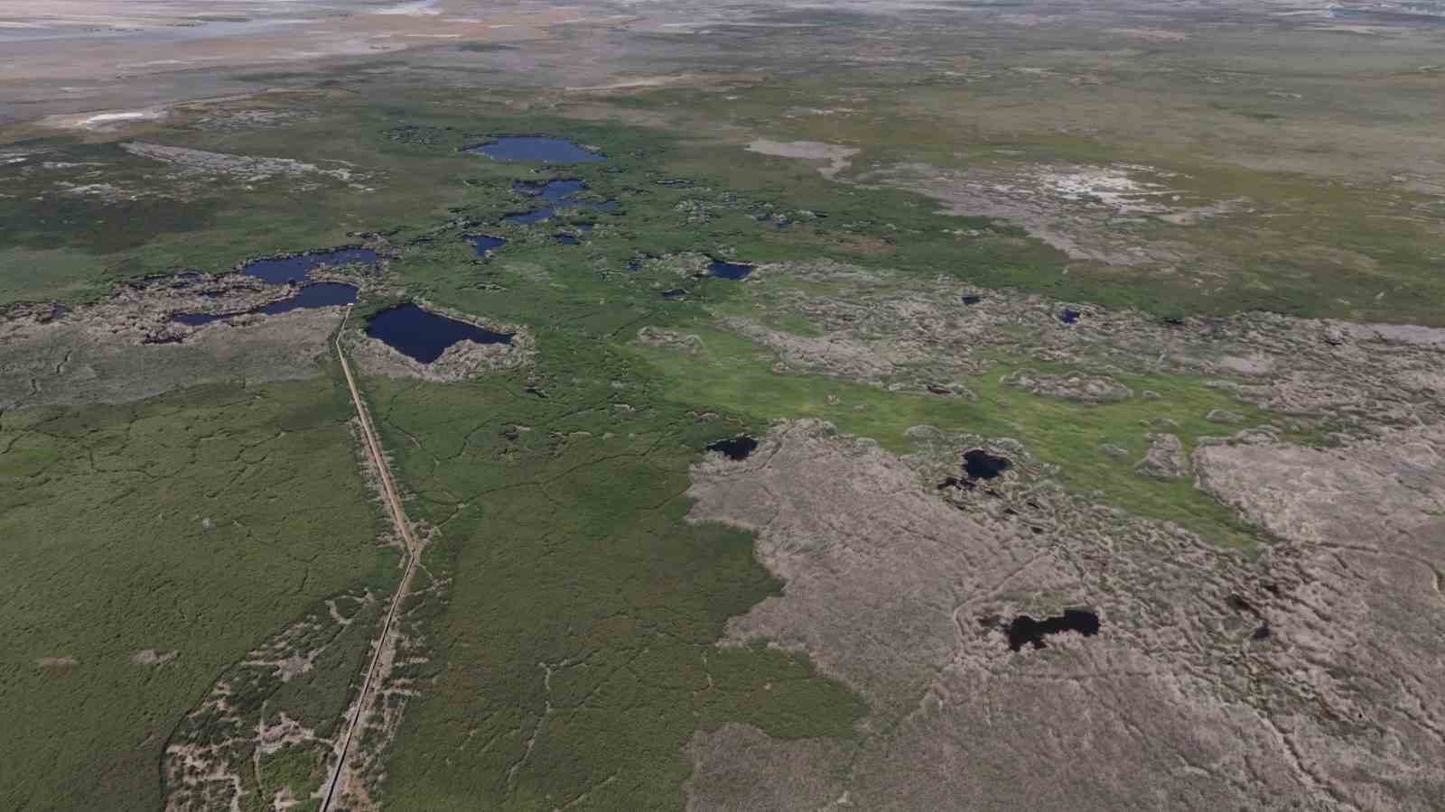 Sultan Sazlığı kuş değil tilki cenneti oldu