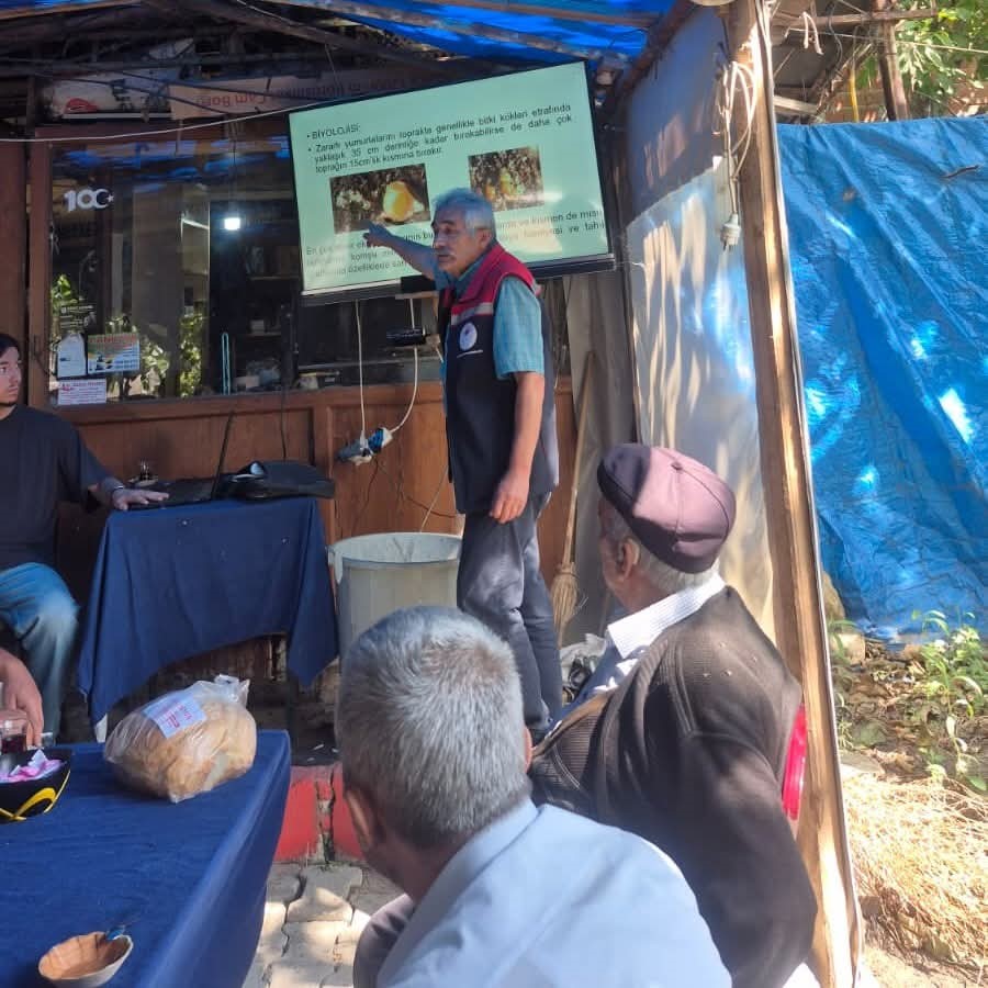 Malkara’da çiftçilere Batı Mısır kök kurdu zararlısı hakkında eğitim verildi