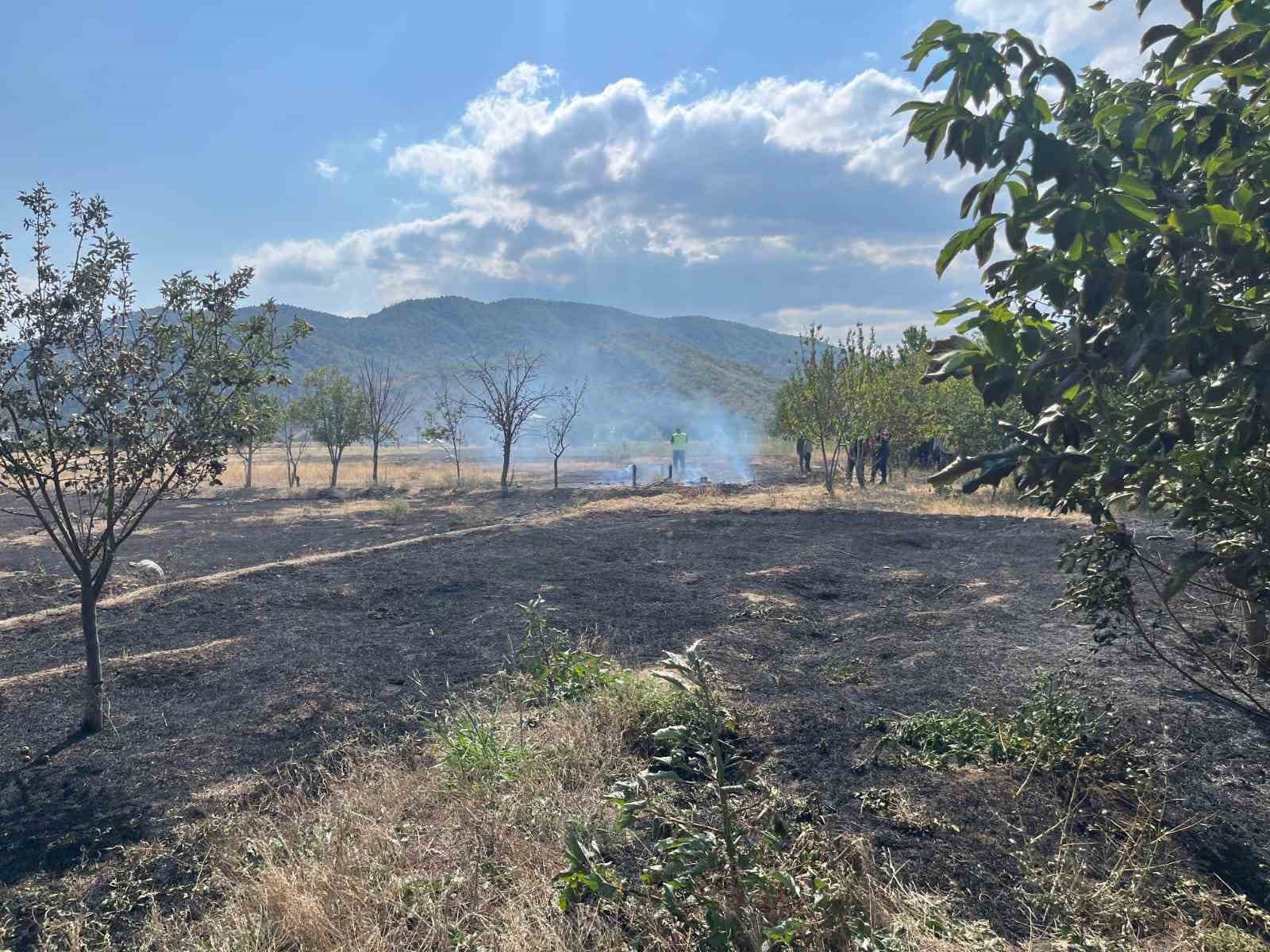 &Ccedil;orum&rsquo;da tarlada &ccedil;ıkan yangın s&ouml;nd&uuml;r&uuml;ld&uuml;

