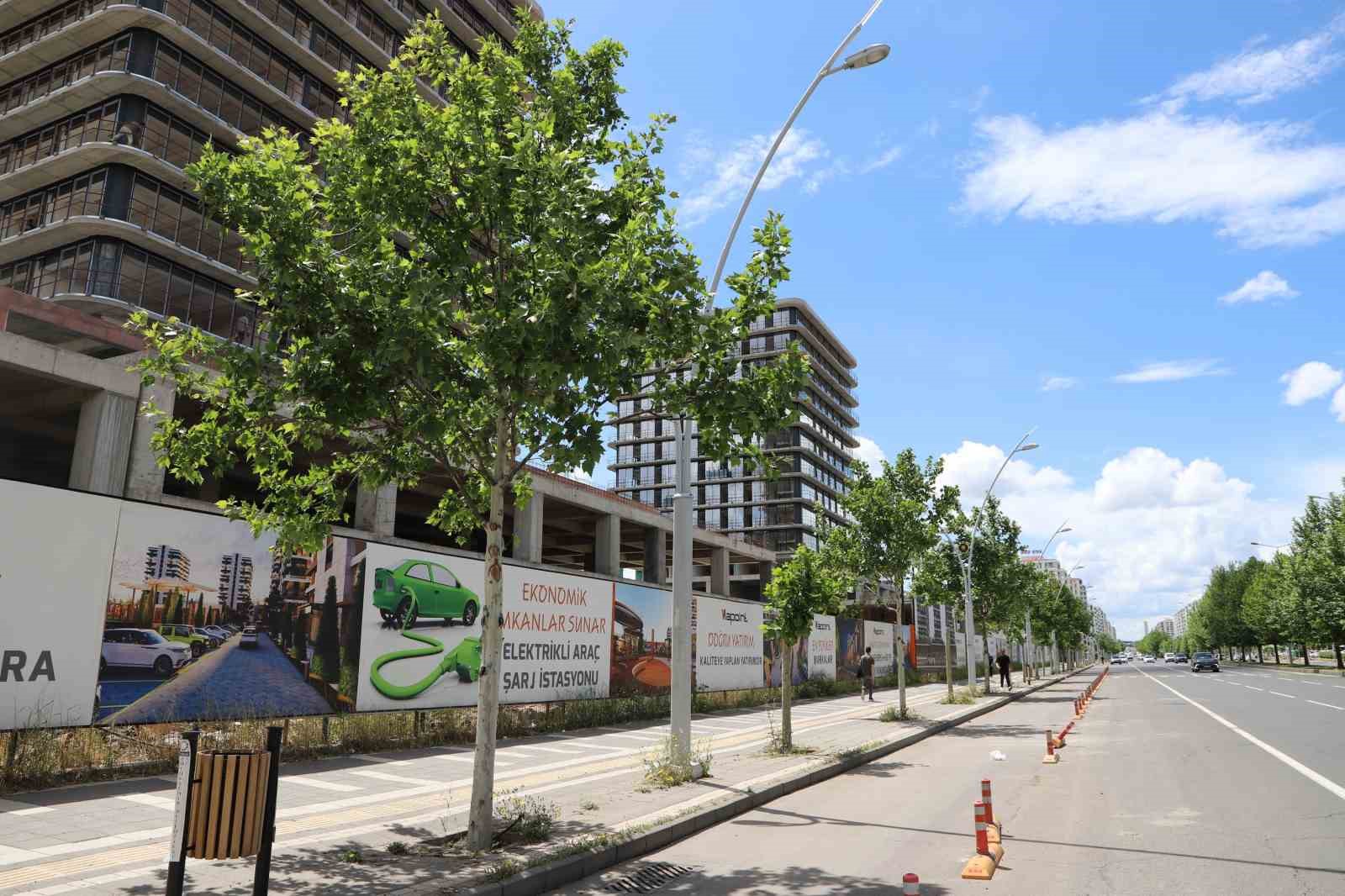 Diyarbakır&rsquo;da tedavi edilen ağa&ccedil;lar yeniden yeşerdi
