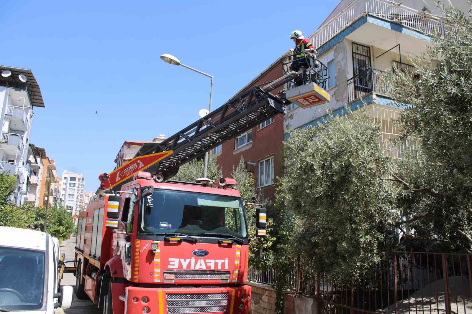 Sevimli kediyi kurtarmak için tüm ekipler seferber oldu, o kurtarılacağı anda atlayıp gitti