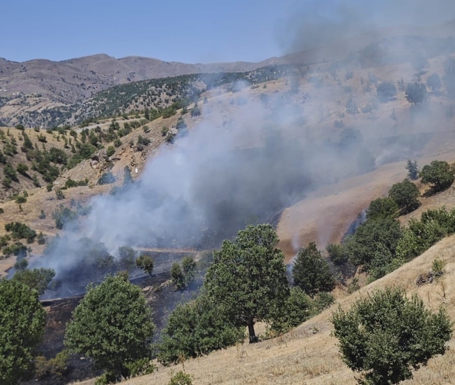 Pütürge’de orman yangını