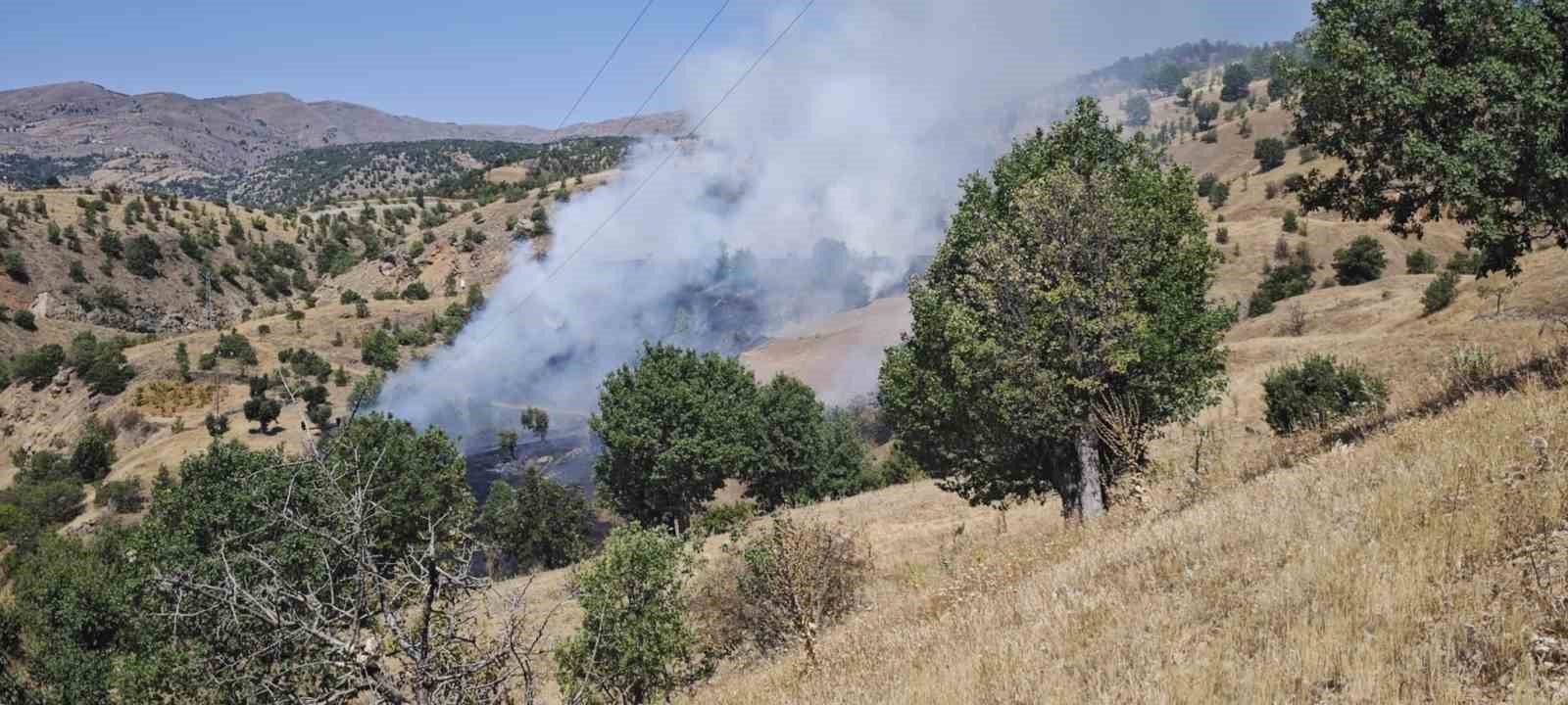 P&uuml;t&uuml;rge&rsquo;de orman yangını
