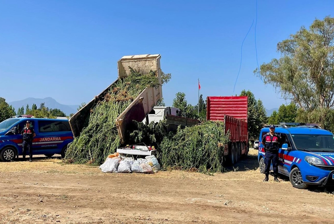 Mısır tarlası zehir tarlası &ccedil;ıktı
