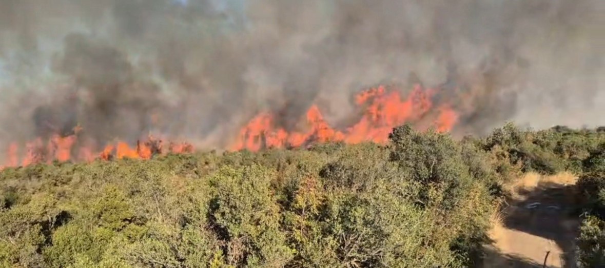 Balıkesir’deki orman yangınına müdahale sürüyor