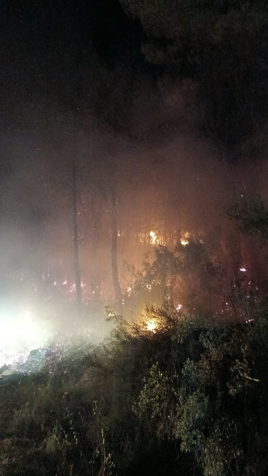 Köyceğiz’de Orman yangını, ekiplerin hızlı müdahalesi ile yangın kontrol altına alındı