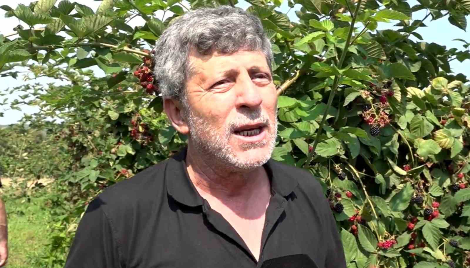 Ahududu, merkezi Bursa&rsquo;da yok olmak &uuml;zere
