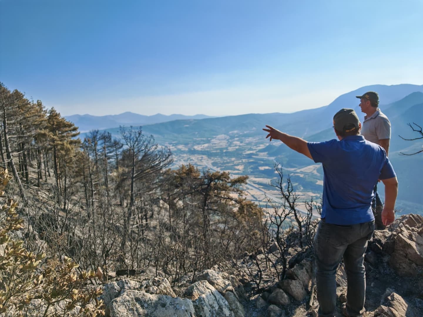 Cankurtaran’da yanan bölgenin ağaçlandırılması için çalışmalara başlandı