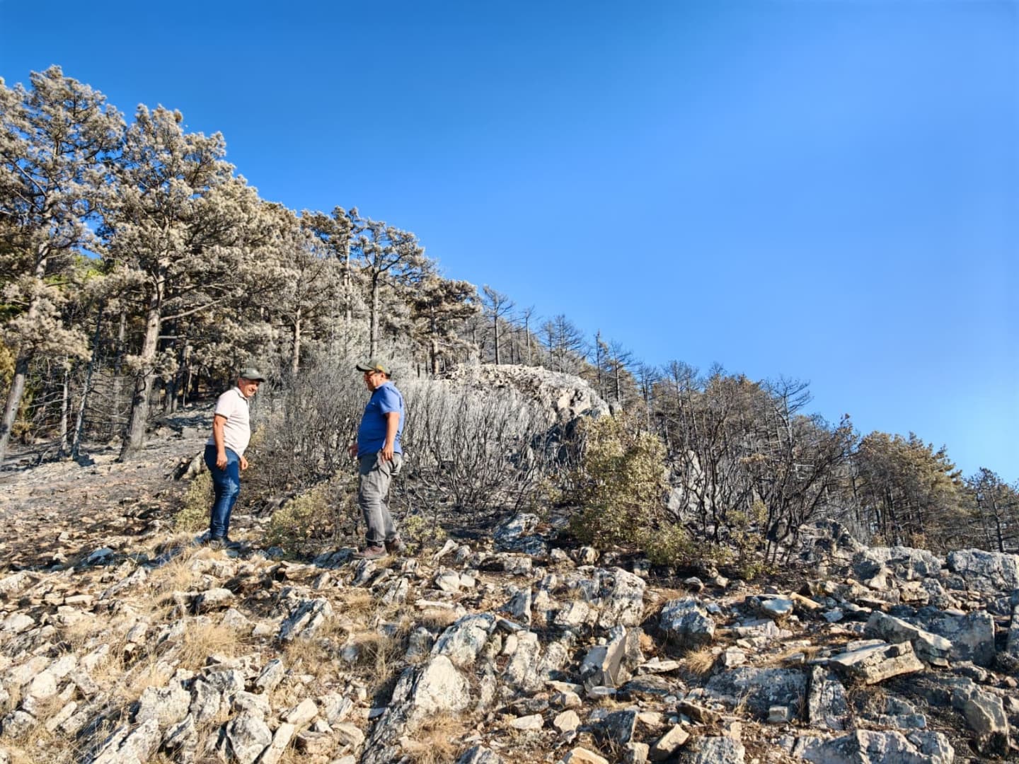 Cankurtaran&rsquo;da yanan b&ouml;lgenin ağa&ccedil;landırılması i&ccedil;in &ccedil;alışmalara başlandı
