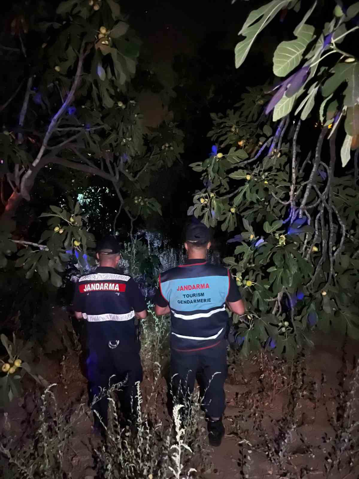 Jandarmadan ‘incir hırsızı’ nöbeti