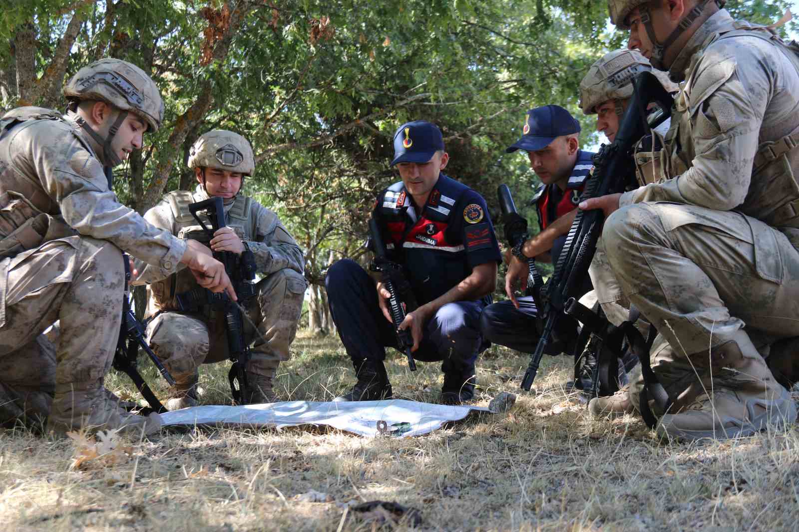 Jandarma muhtemel orman yangınlarına karşı teyakkuzda