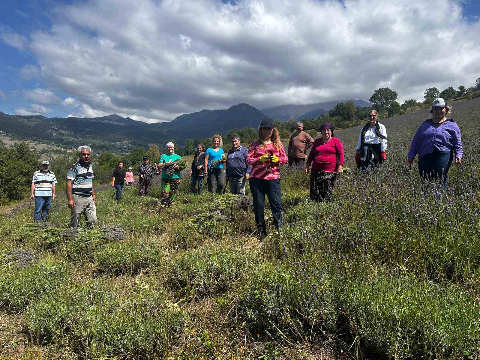 Ardanuç’ta kadın kooperatifinden lavanta hasadı ve doğal ürün üretimi başladı
