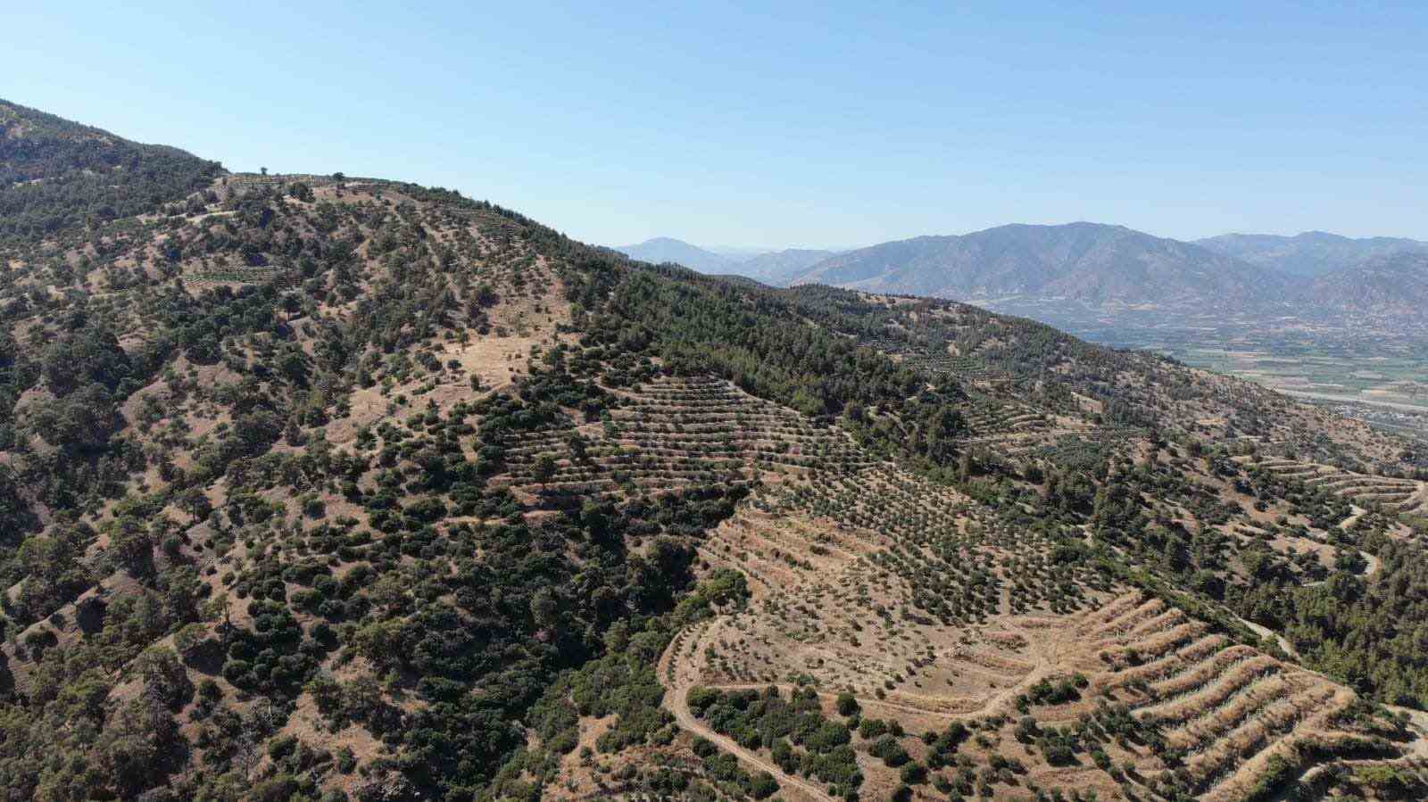 Karacasu Kaymakamlığı orman yangını riskine dikkat çekti