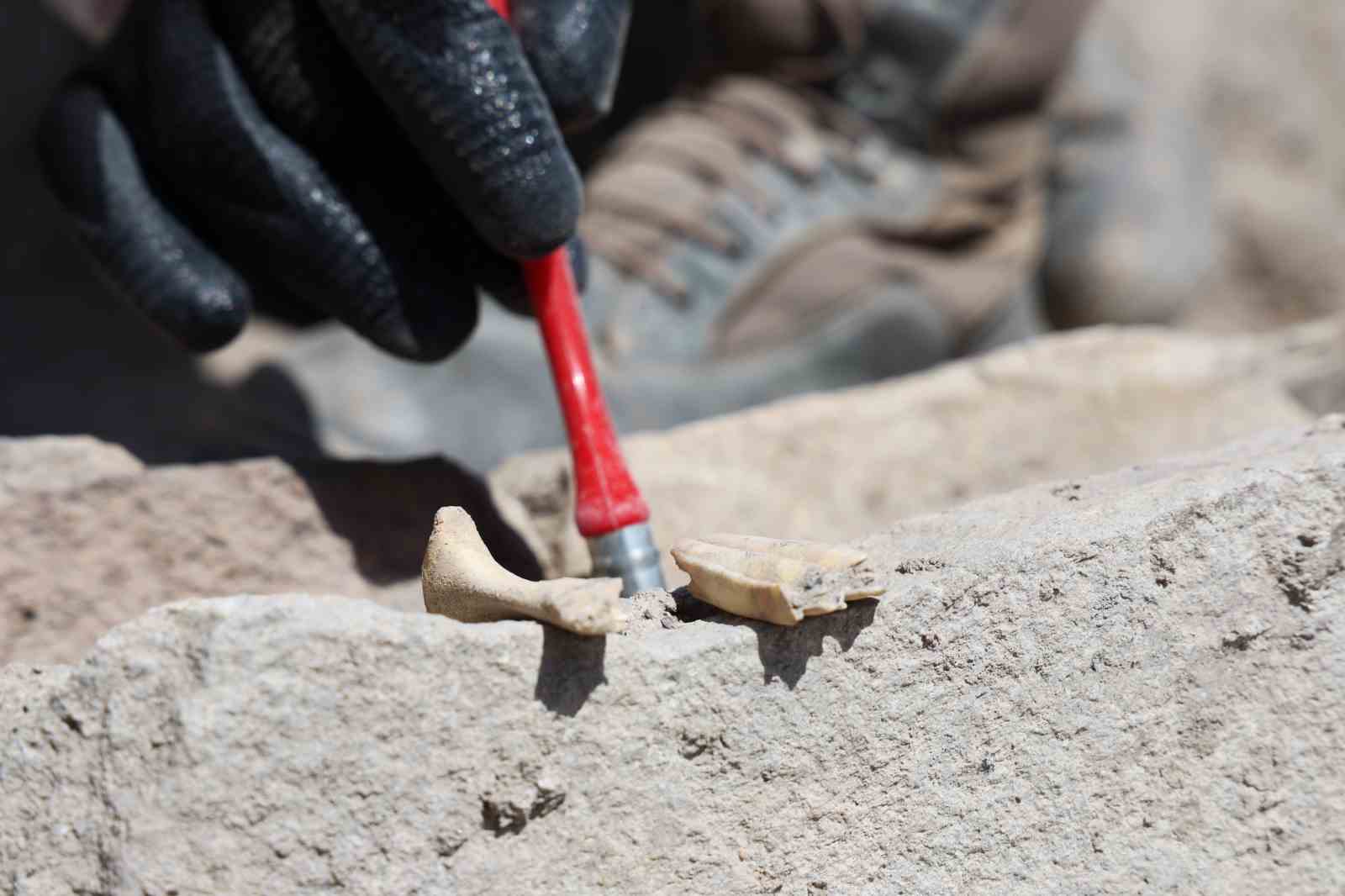 6 bin yıllık tapınaktan sonra Tadım Kalesi’nde insan ve hayvan kemikleri ortaya çıktı