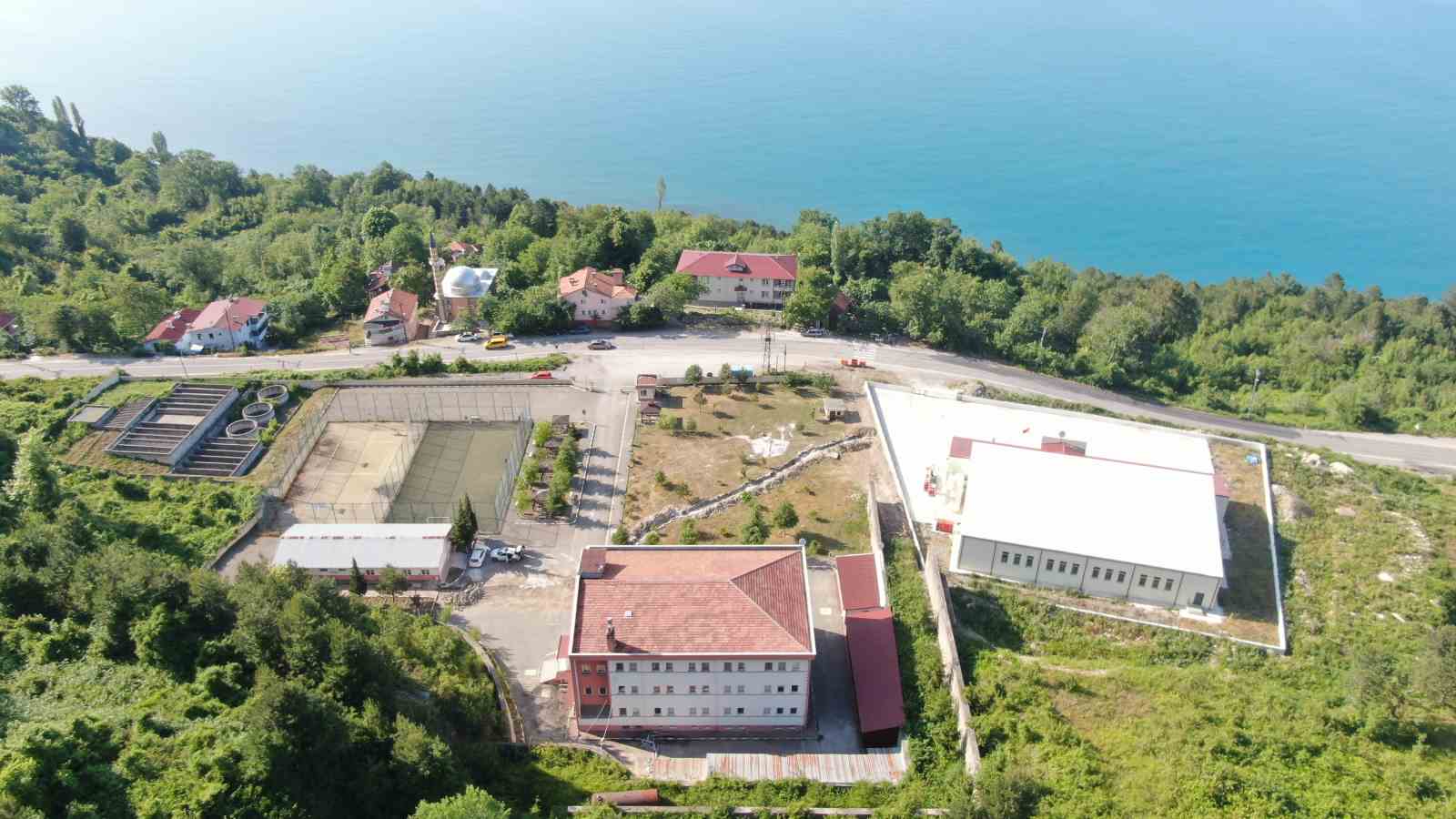 Kastamonu&rsquo;da, Rusya&rsquo;dan gelen polen tespit edildi: Polen alerjisi olanları ağustos ve eyl&uuml;l aylarında etkiliyor
