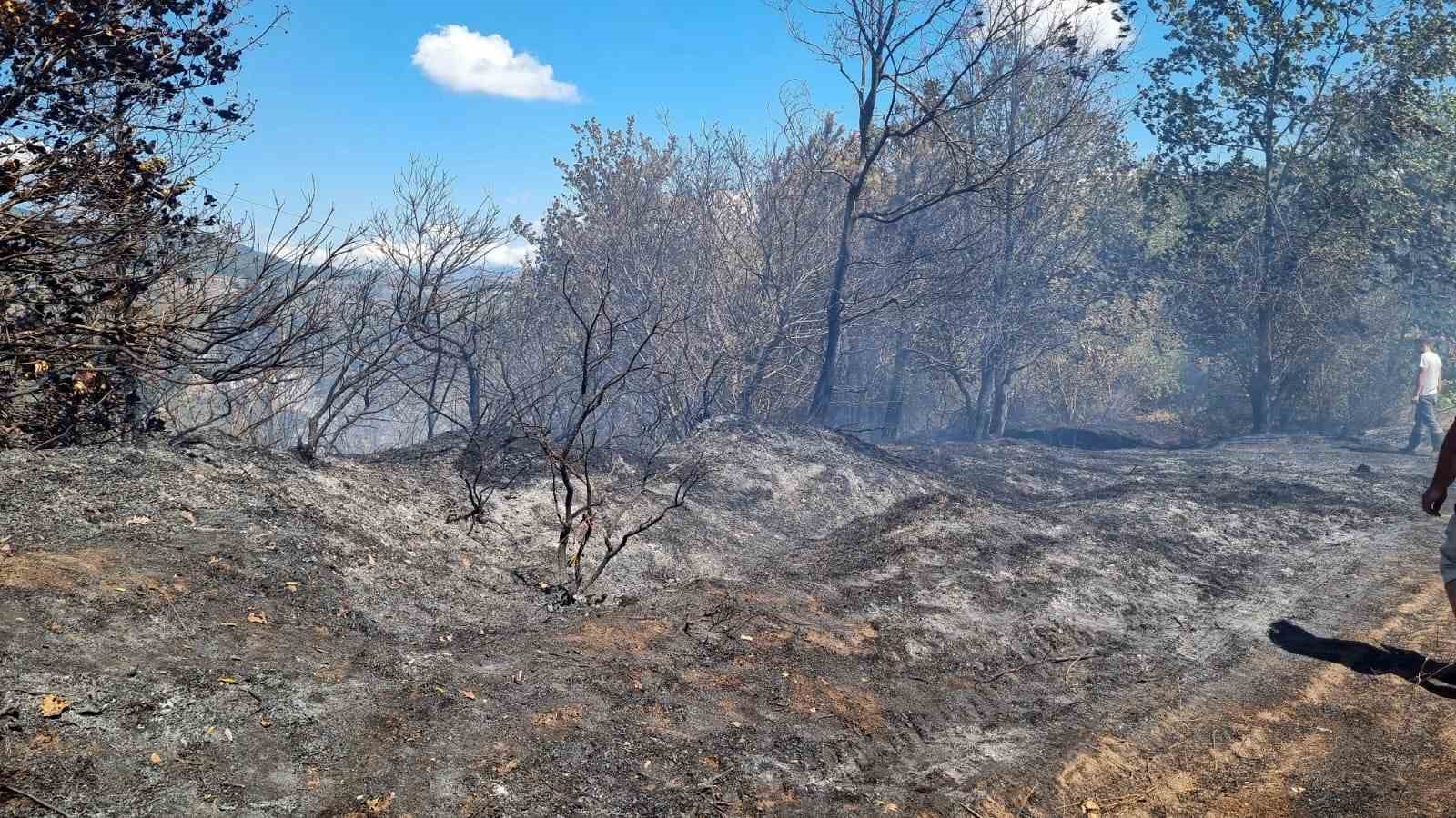 Sakarya’da ormanlık alanda çıkan yangın büyümeden söndürüldü