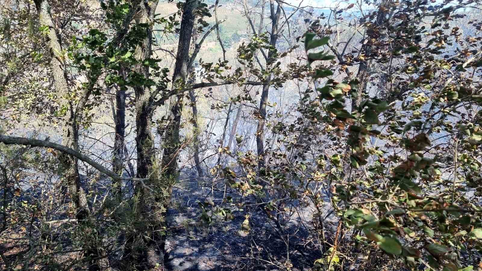 Sakarya’da ormanlık alanda çıkan yangın büyümeden söndürüldü