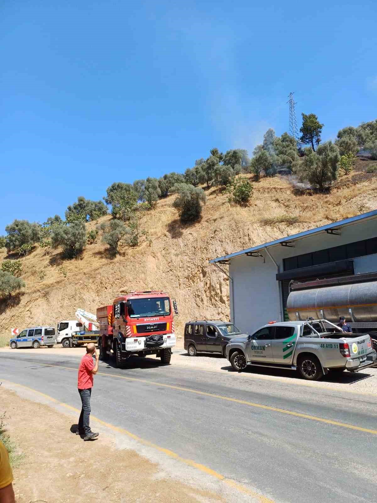 Aydın&rsquo;da zirai alan yangını
