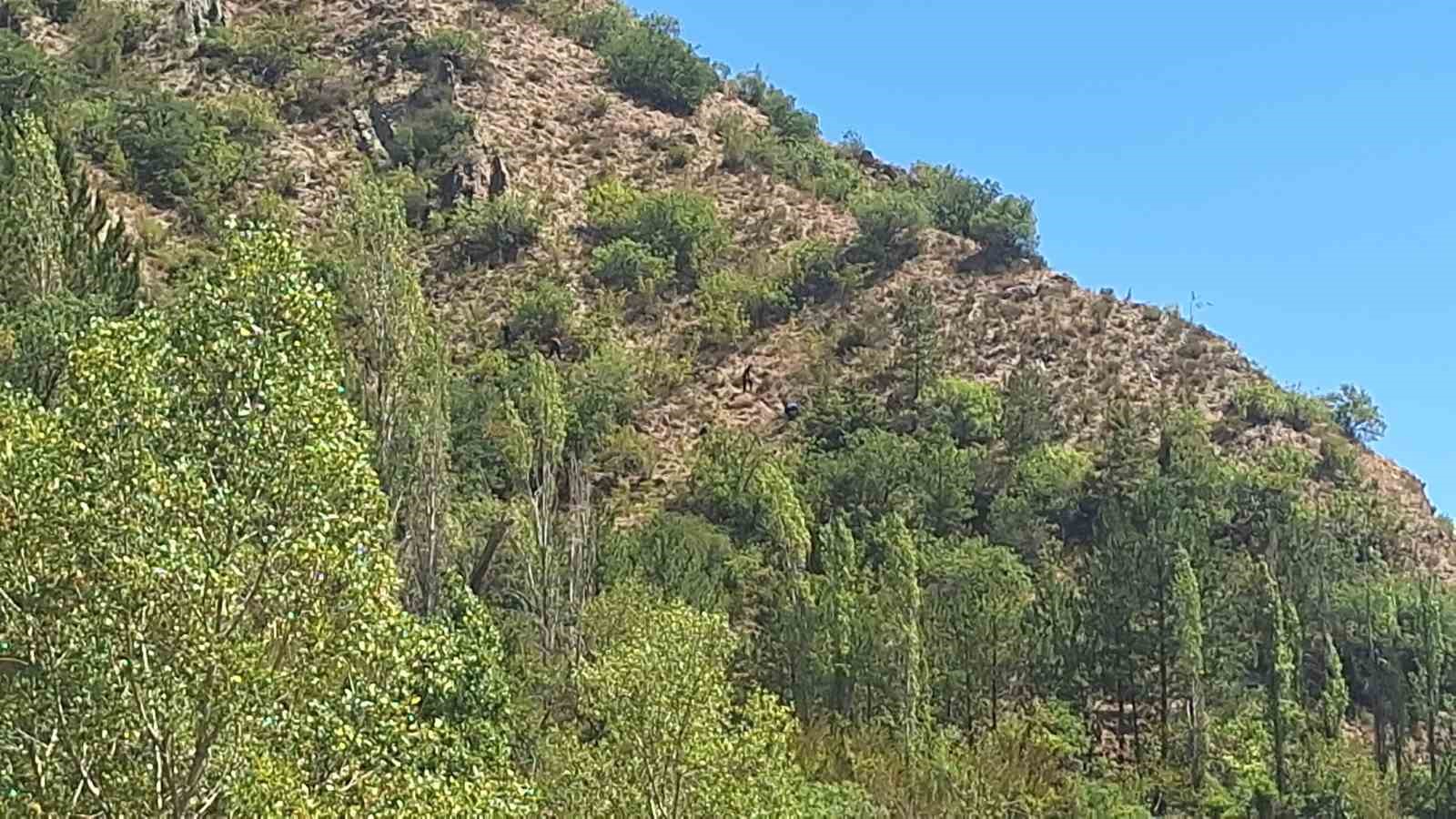 10 gündür kayıp olarak aranan yaşlı adam ölü bulundu