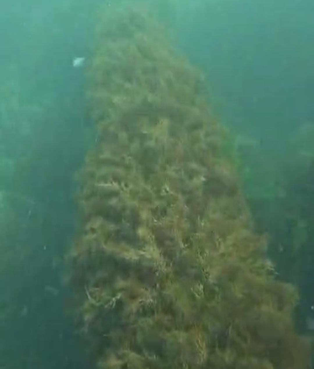 Amasra Belediyesi’ne 668 bin TL para cezası kesildi